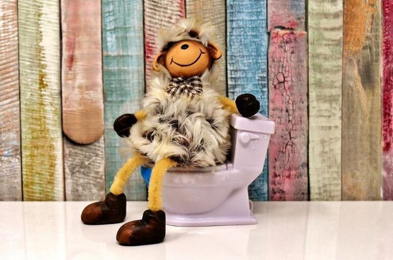 toilet-3298222_960_720