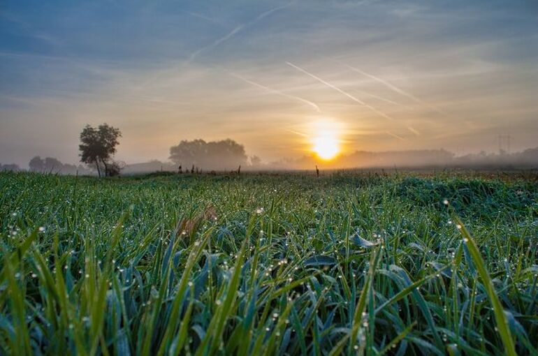sunrise-3051938_960_720