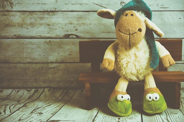 sheep-4124863_960_720