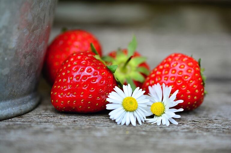 strawberries-3974646_960_720