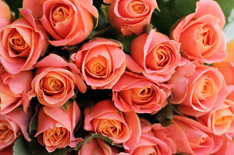 background-3837119_960_720