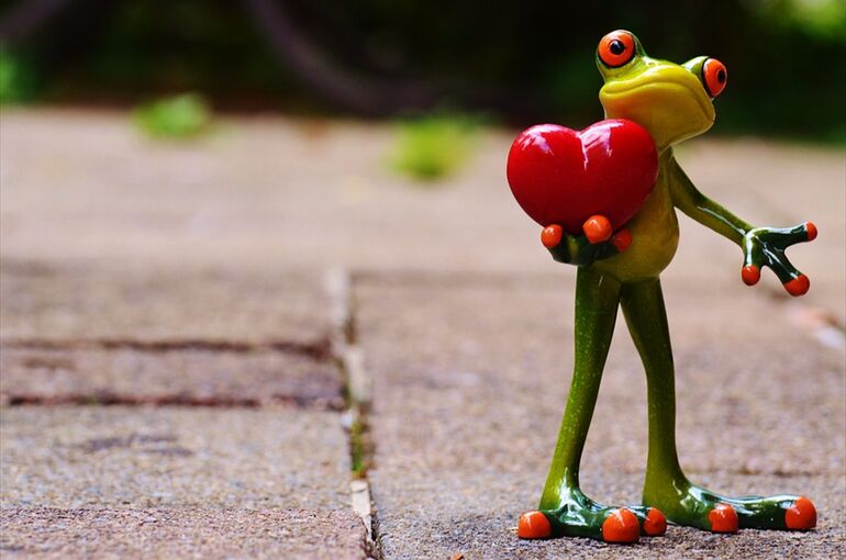 love-903163_960_720