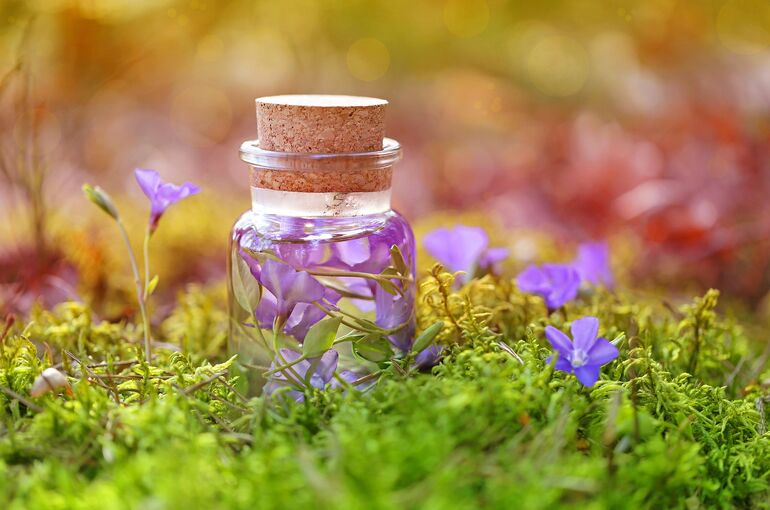 yul38885-purple-3102305_1920
