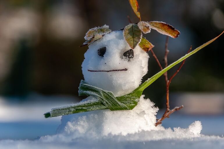 wal_172619-snowman-8432172_1920