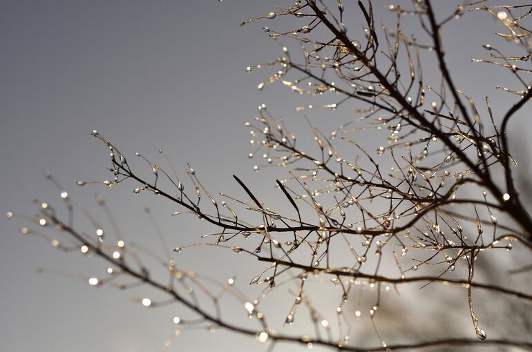 waterdrop-4772726_1920
