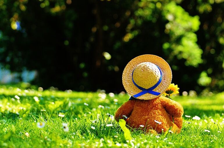 teddy-bear-797577_640