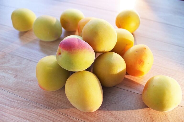 plum-1451489_640