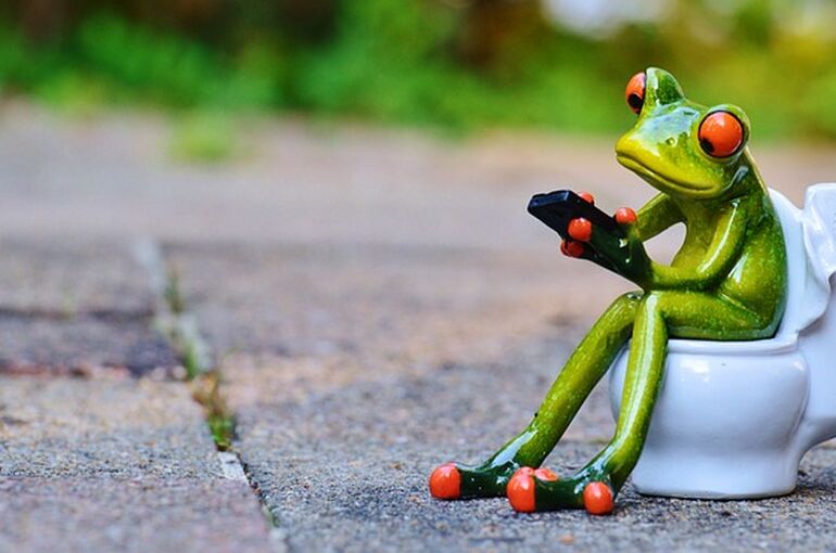 frog-914131_640